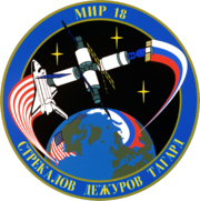 Mir-21-STS-71-Patch[1]